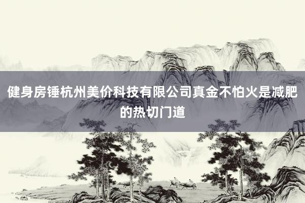健身房锤杭州美价科技有限公司真金不怕火是减肥的热切门道