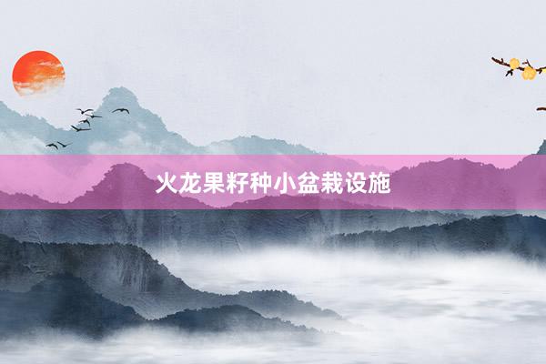 火龙果籽种小盆栽设施
