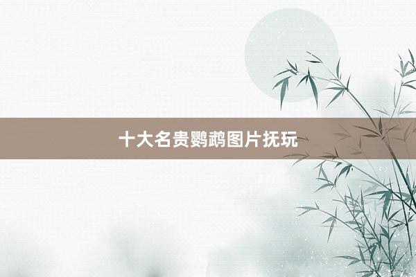 十大名贵鹦鹉图片抚玩