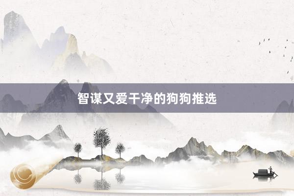 智谋又爱干净的狗狗推选